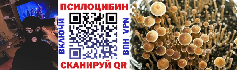 Купить где  Обнинск  Галлюциногенные грибы Magic Shrooms 